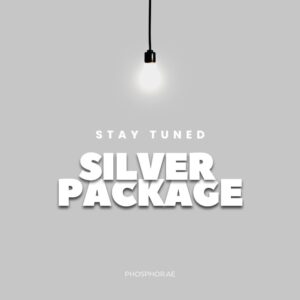 Silver Package